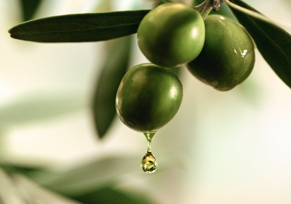 huile d'olive bio AOP 